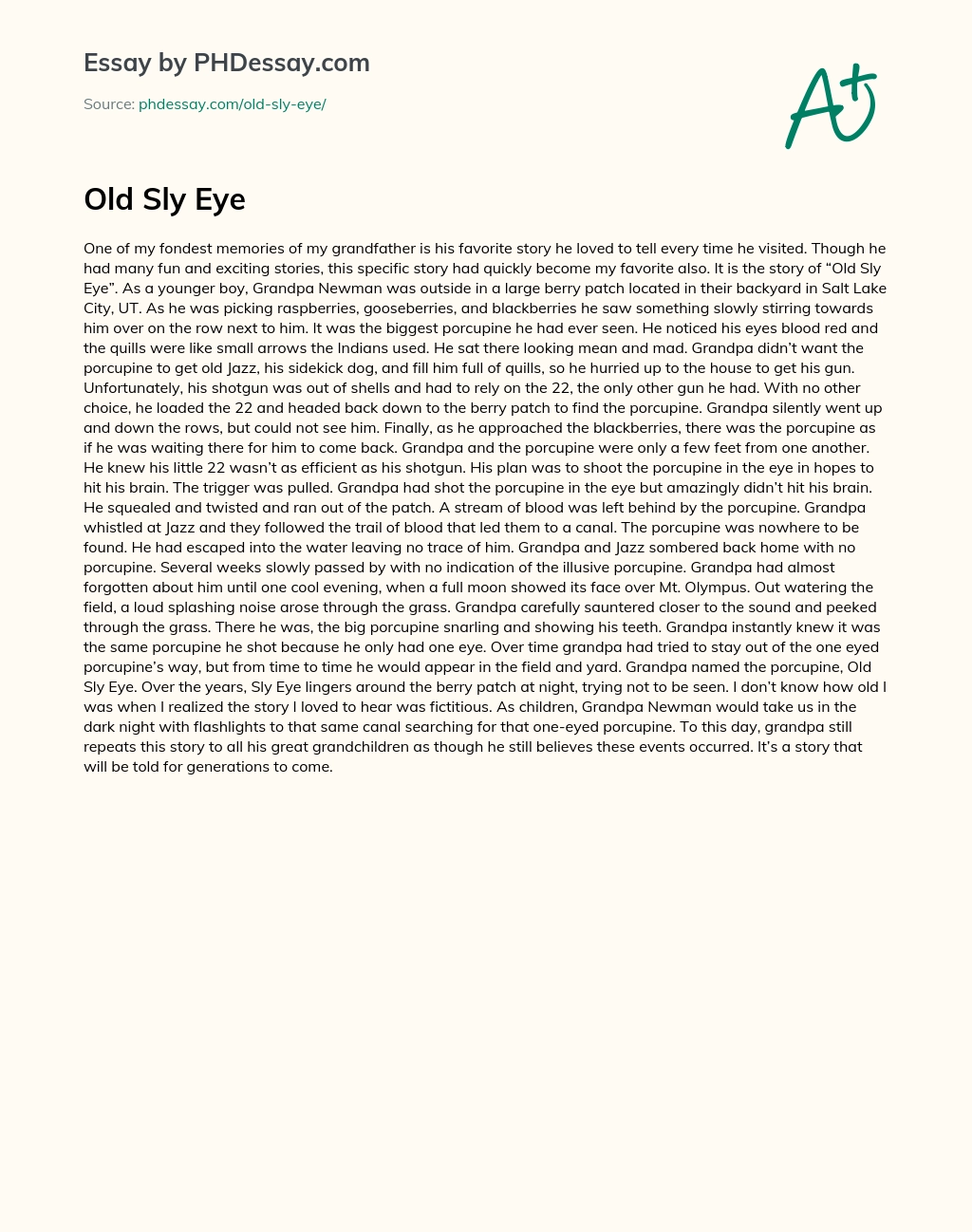 Old Sly Eye essay