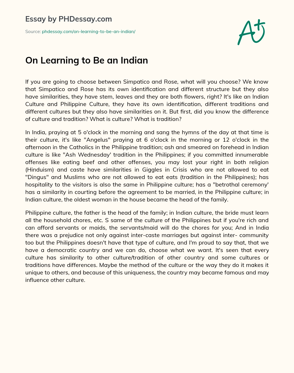 On Learning to Be an Indian essay