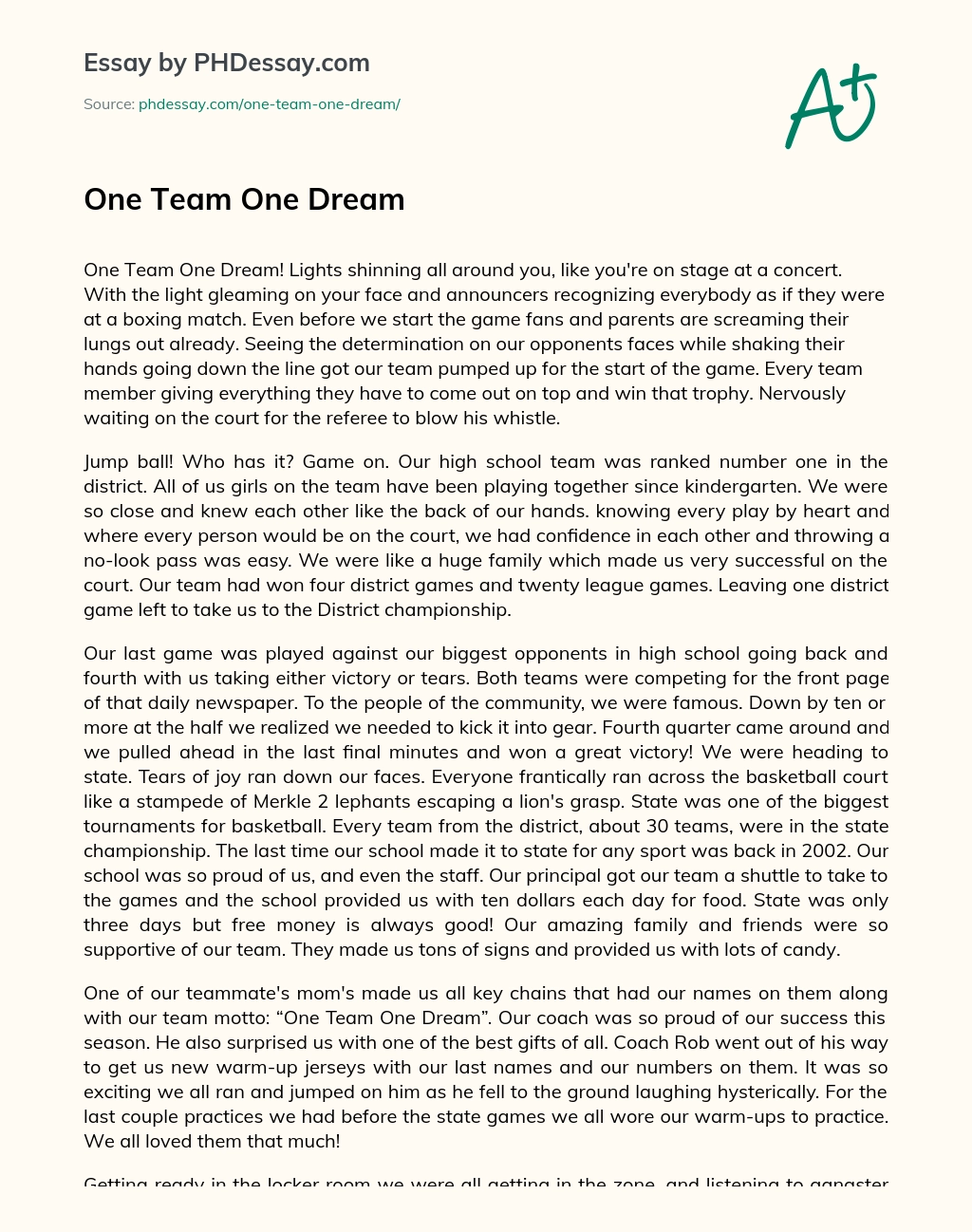 One Team One Dream essay