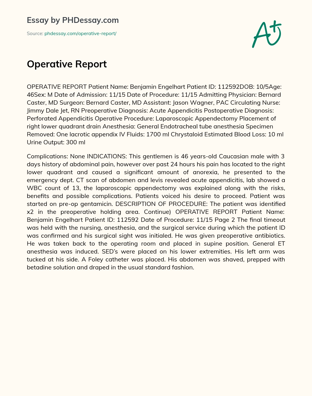 Operative Report essay