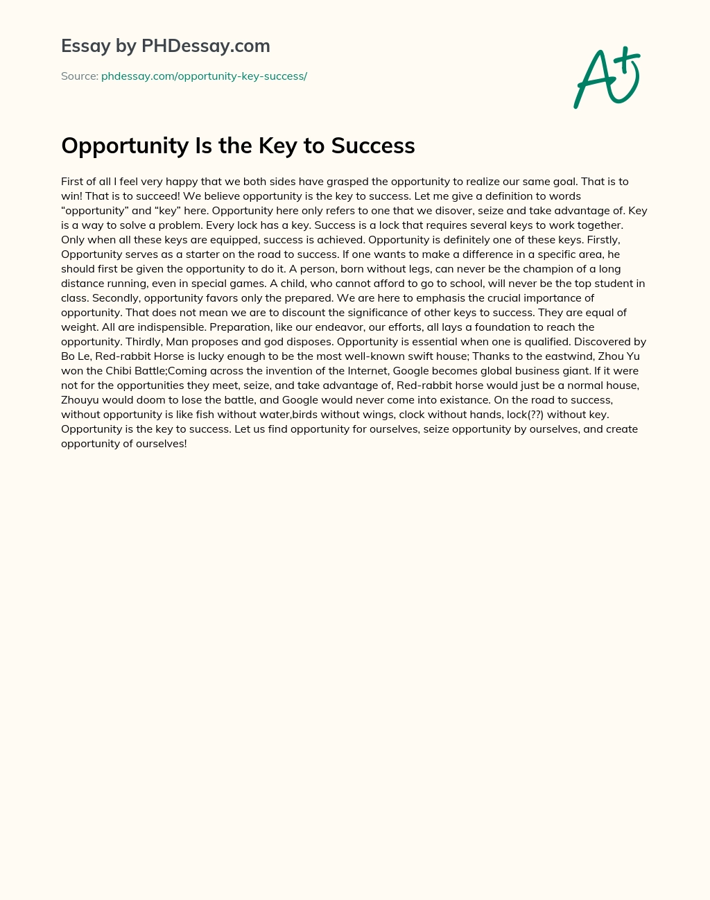 Opportunity Is the Key to Success essay