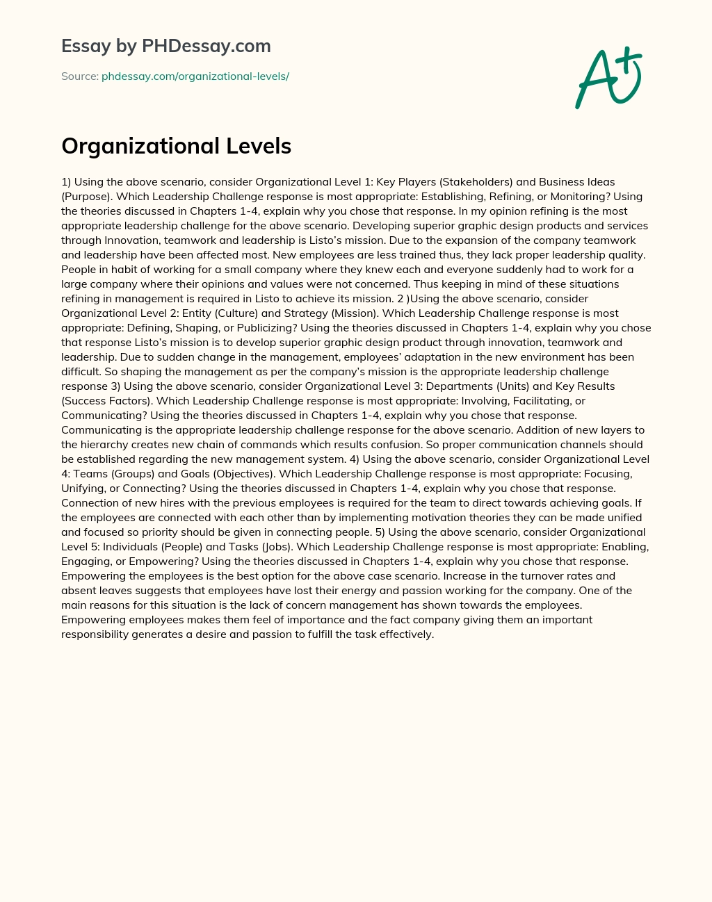 Organizational Levels essay