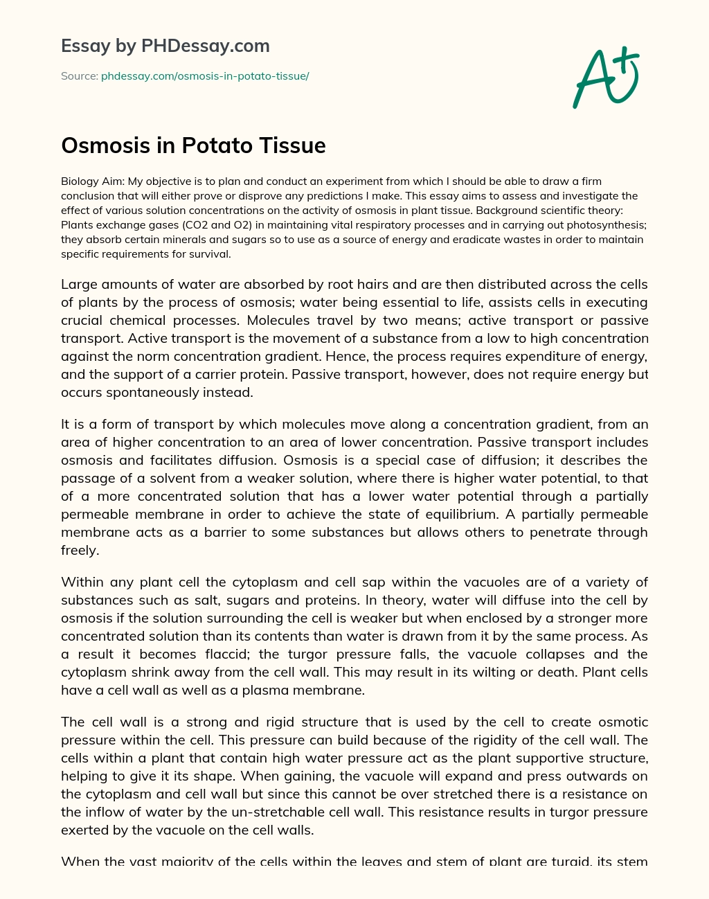 Osmosis in Potato Tissue essay