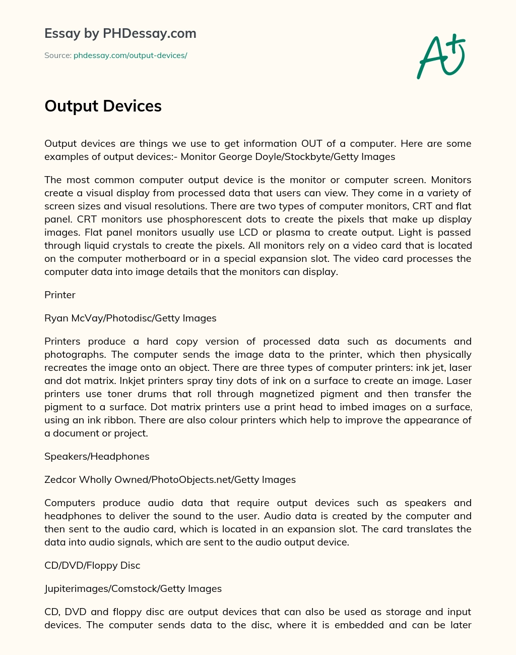 Output Devices essay