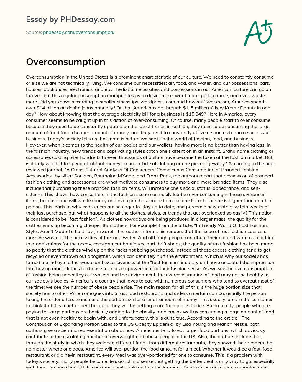 Overconsumption essay