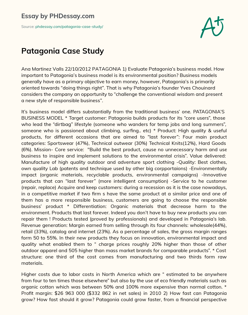 Patagonia Case Study essay