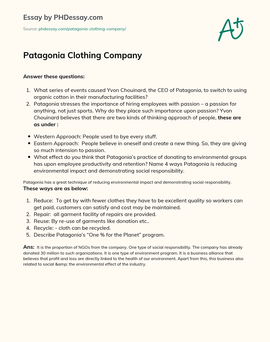 Patagonia Clothing Company essay