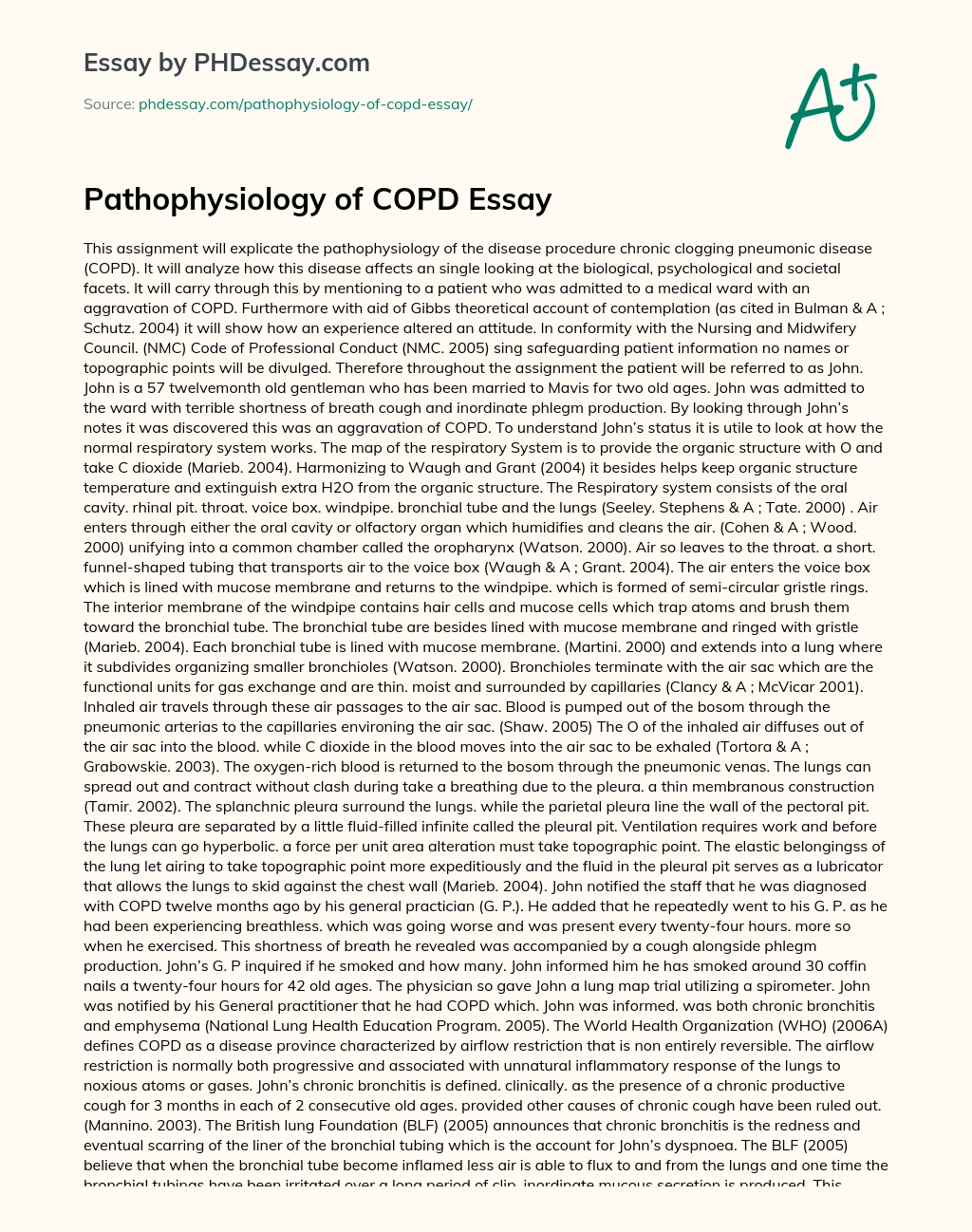 Pathophysiology of COPD Essay essay