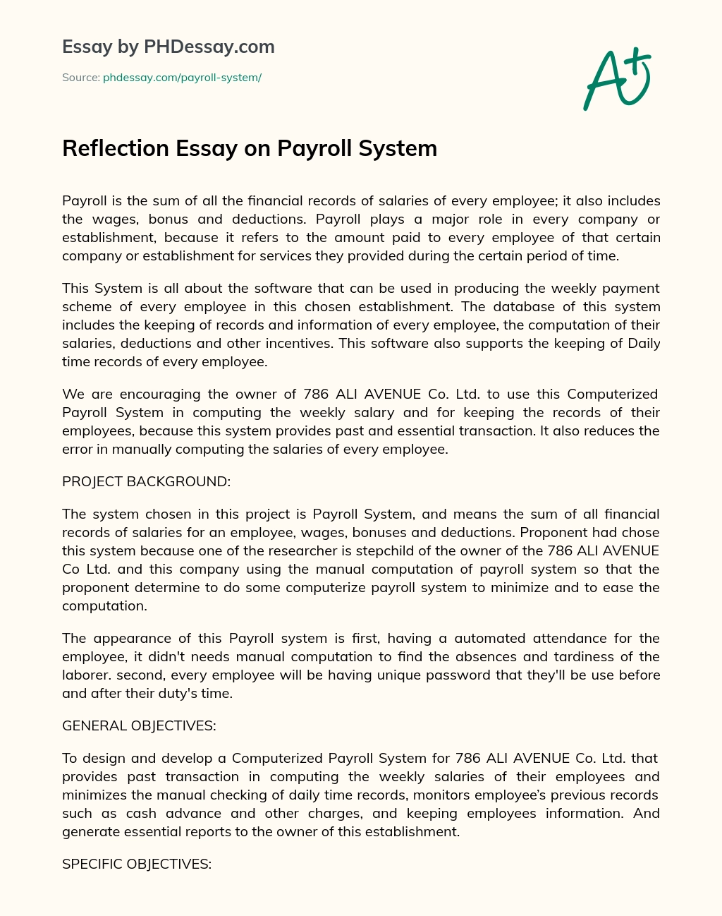 Reflection Essay on Payroll System essay