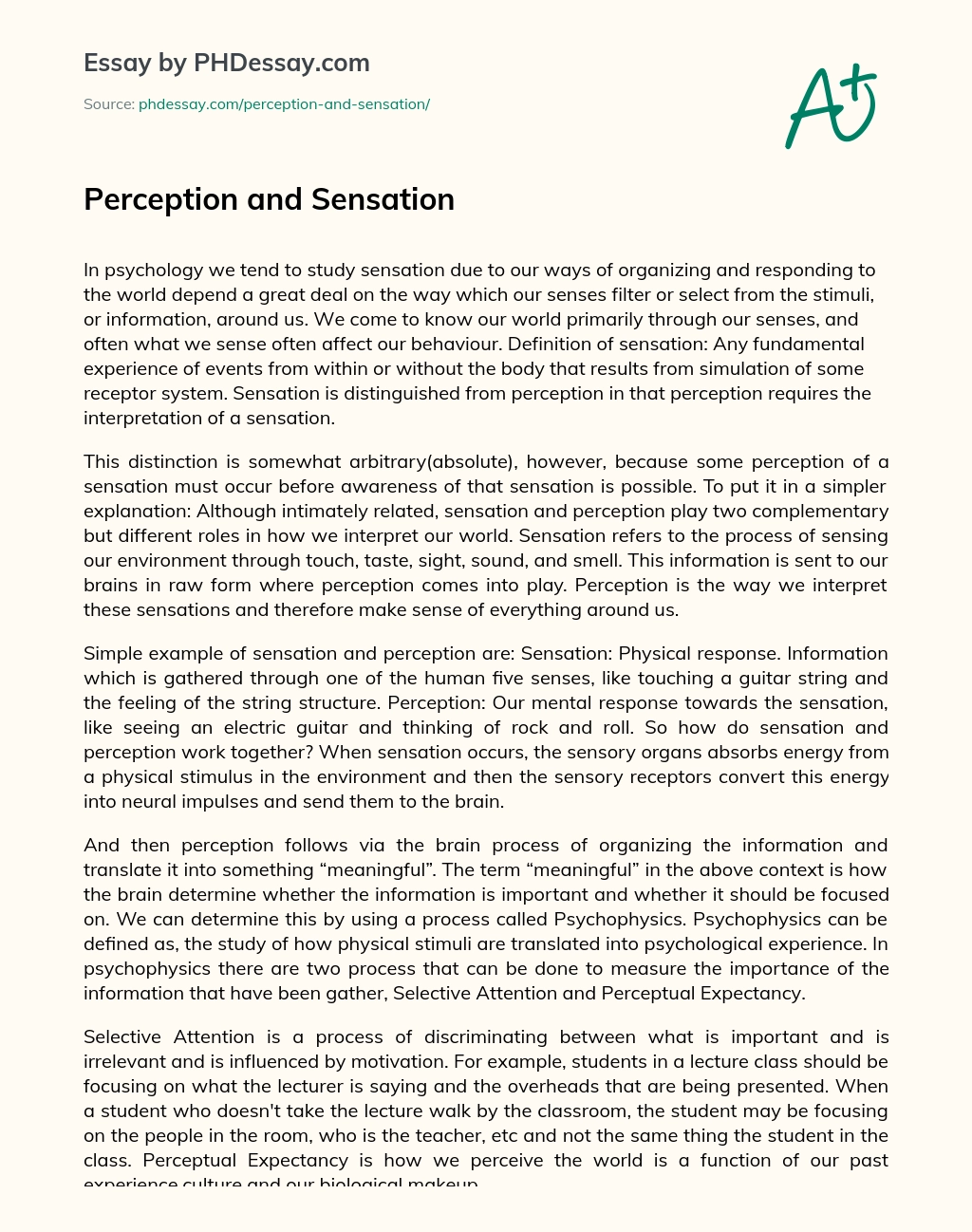 Perception and Sensation essay
