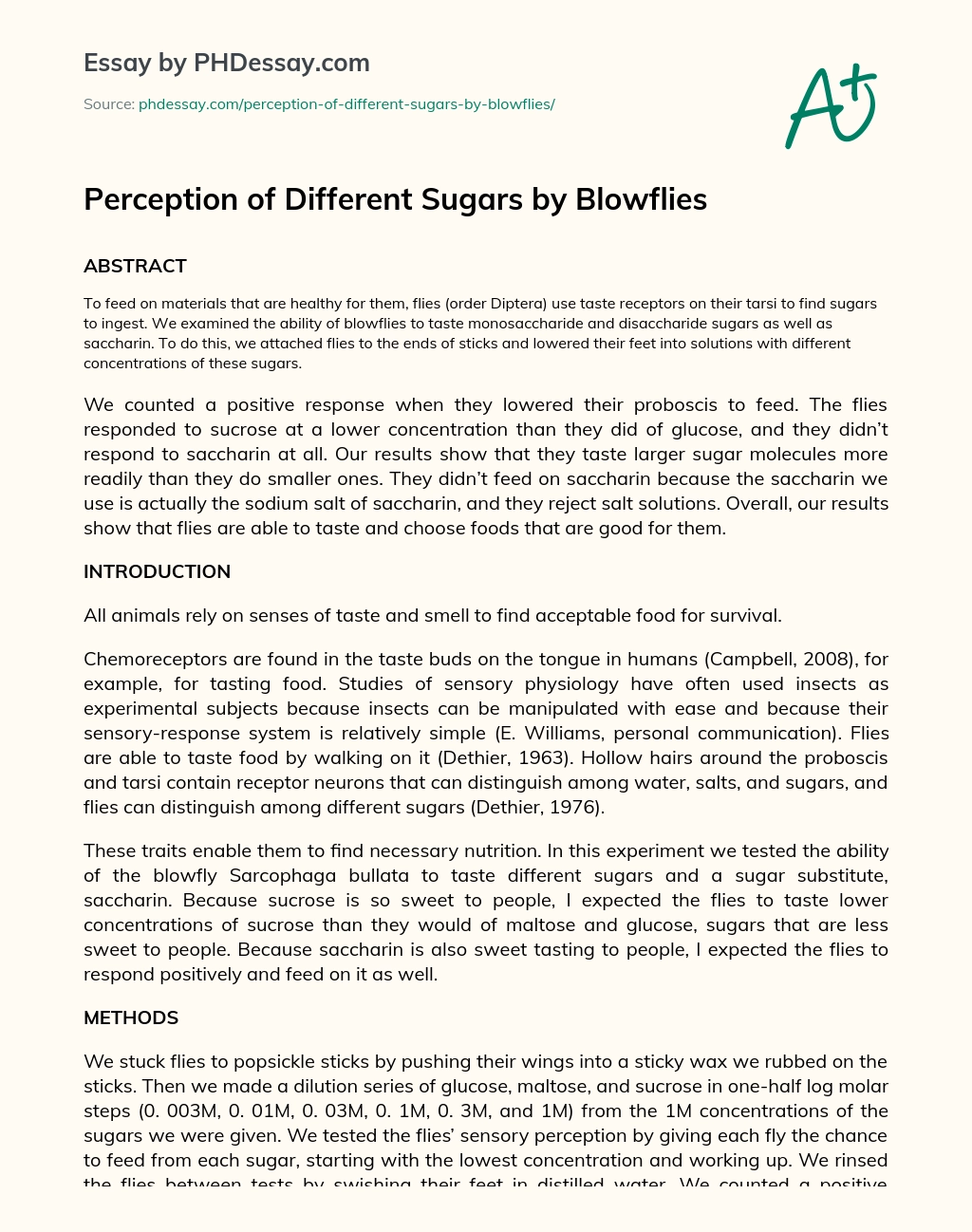 Perception of Different Sugars by Blowflies essay