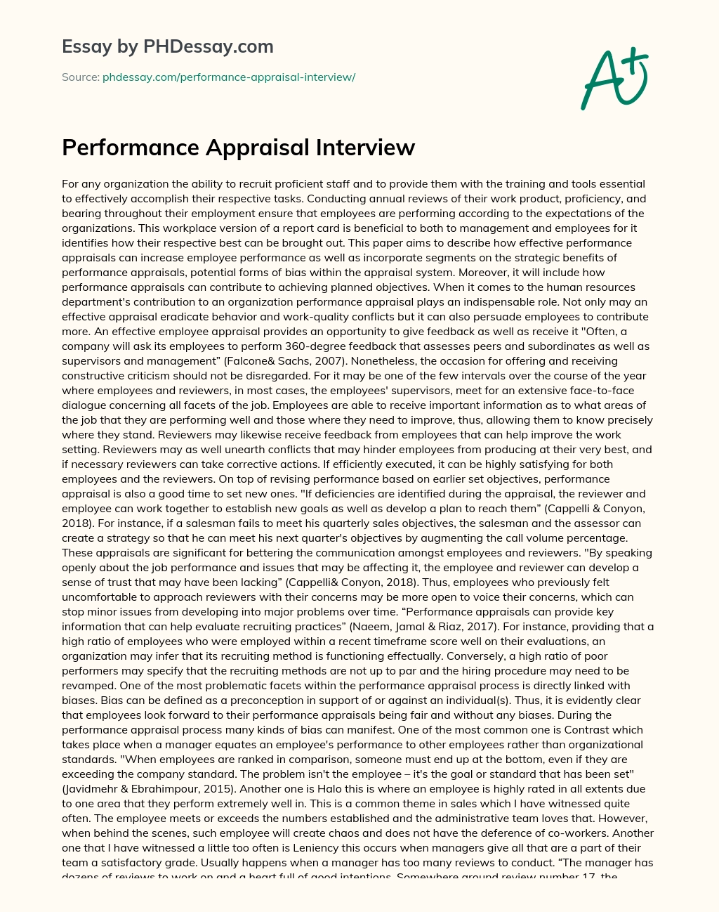 Performance Appraisal Interview essay