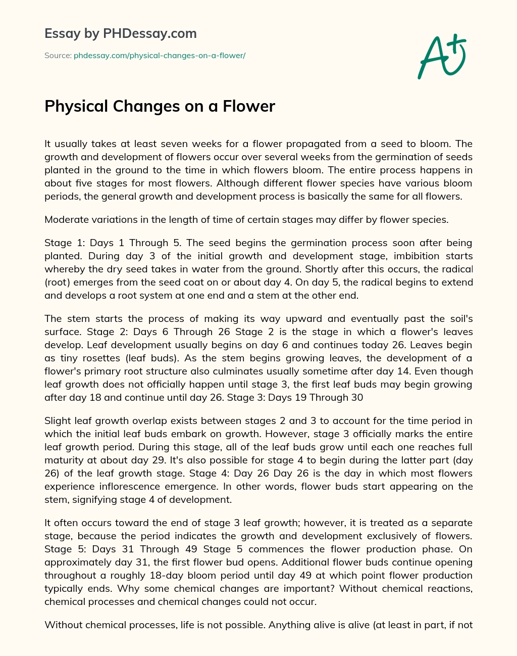Physical Changes on a Flower essay