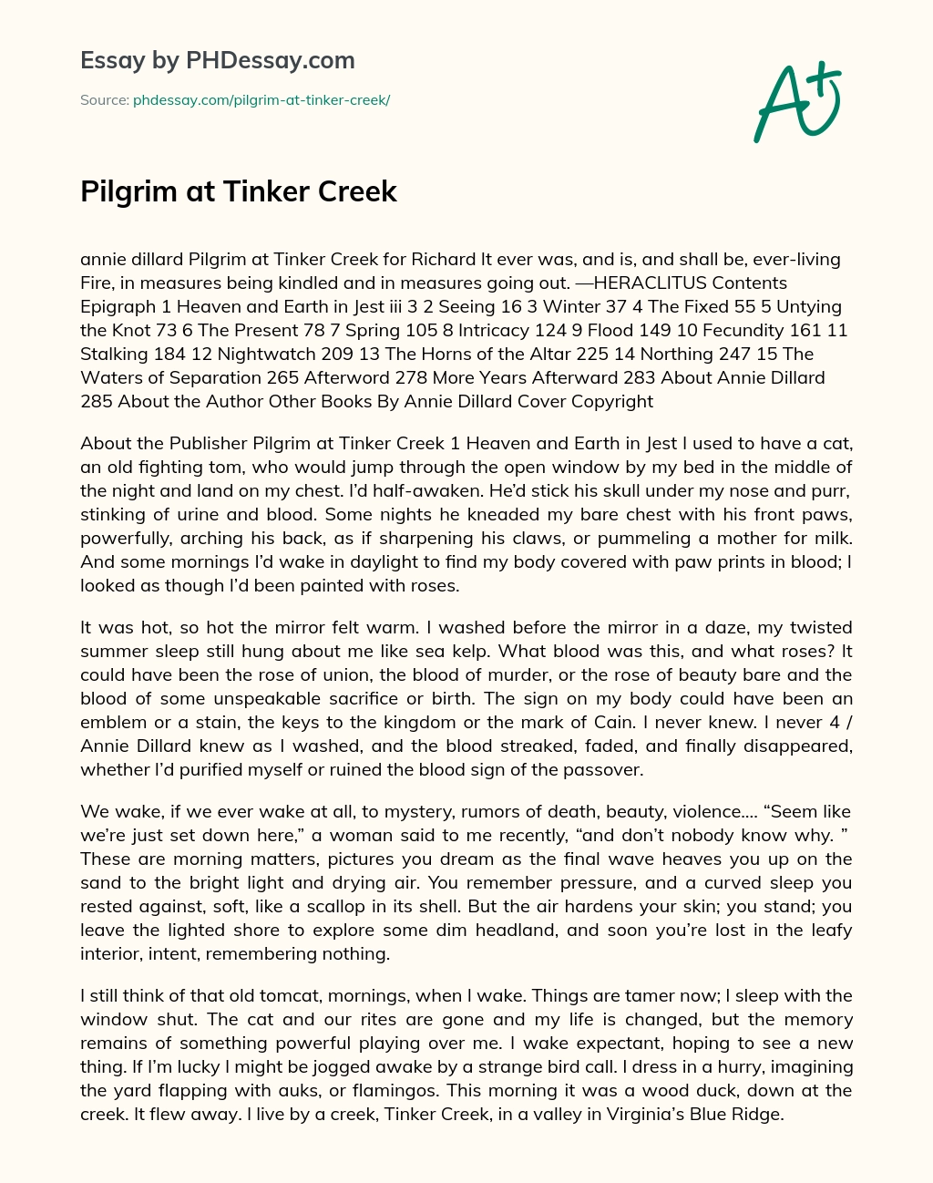 Pilgrim at Tinker Creek essay