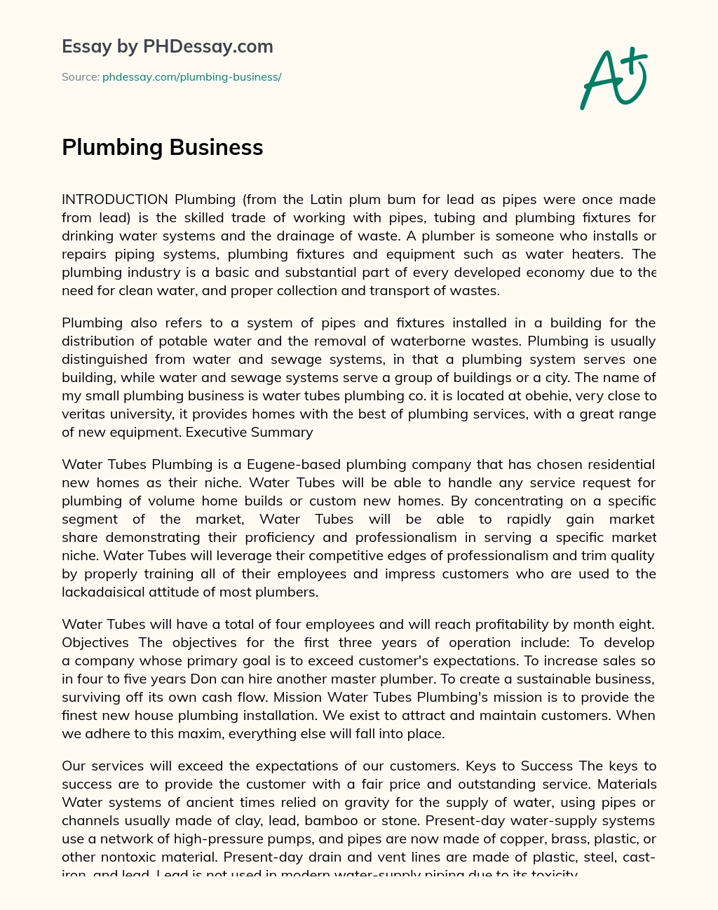 Plumbing Business essay