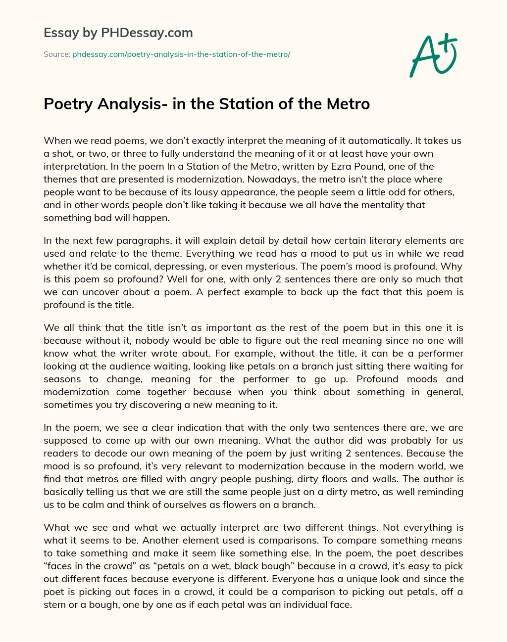 Poetry Analysis- in the Station of the Metro essay