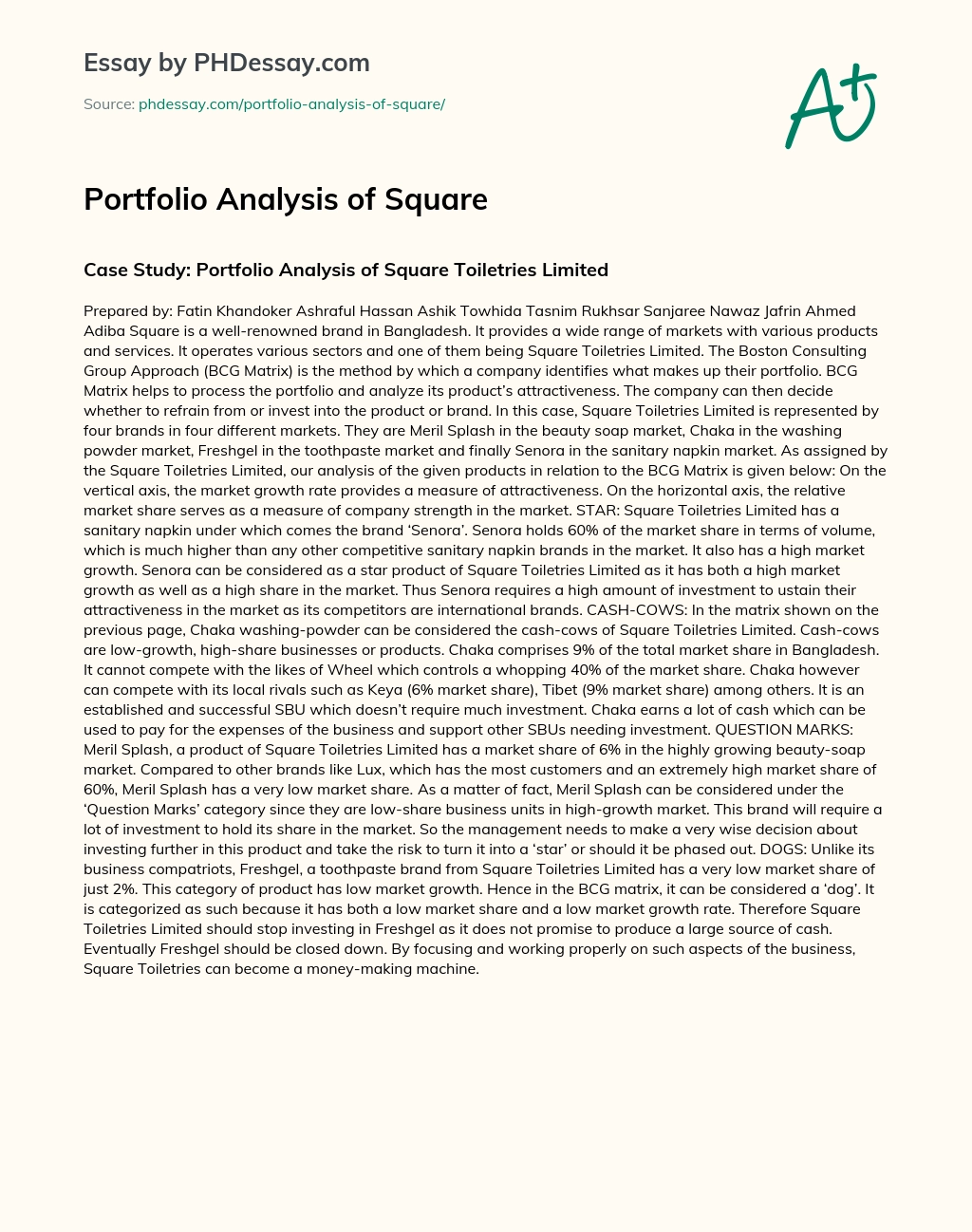 Portfolio Analysis of Square essay