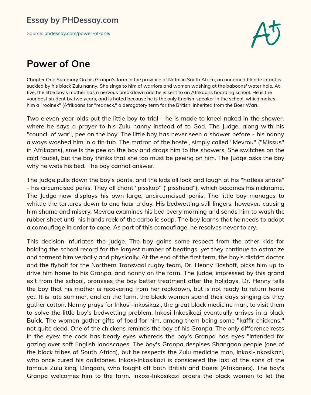 Power of One essay