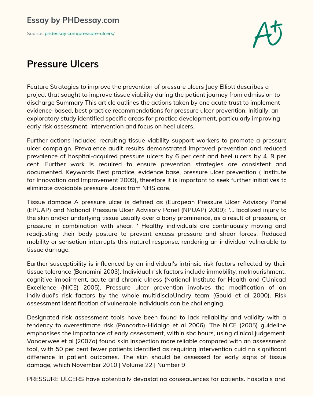 Pressure Ulcers essay
