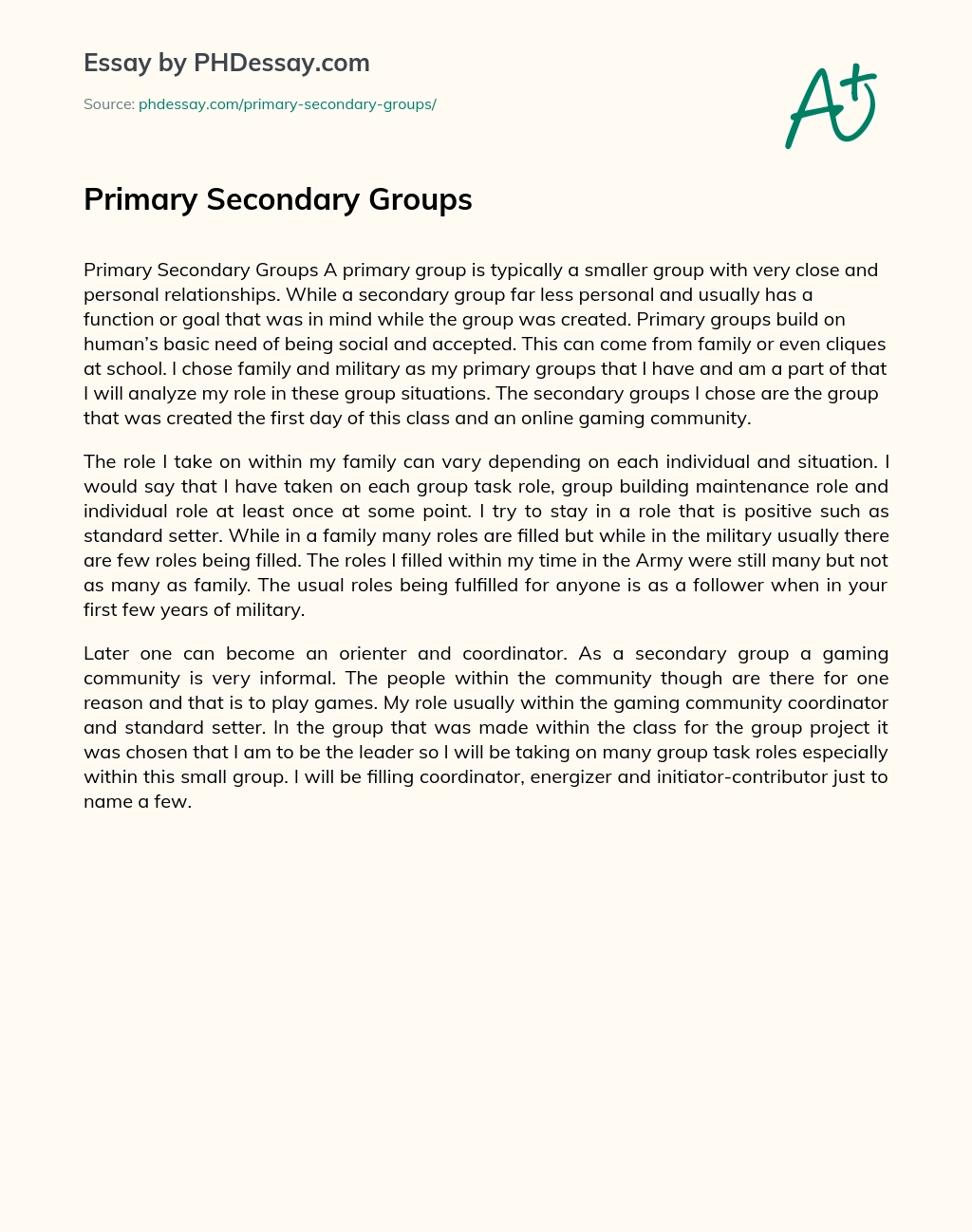 Primary Secondary Groups essay