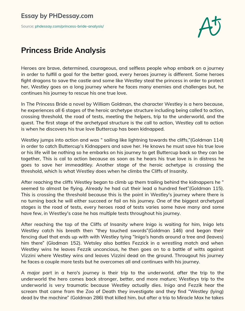 Princess Bride Analysis essay