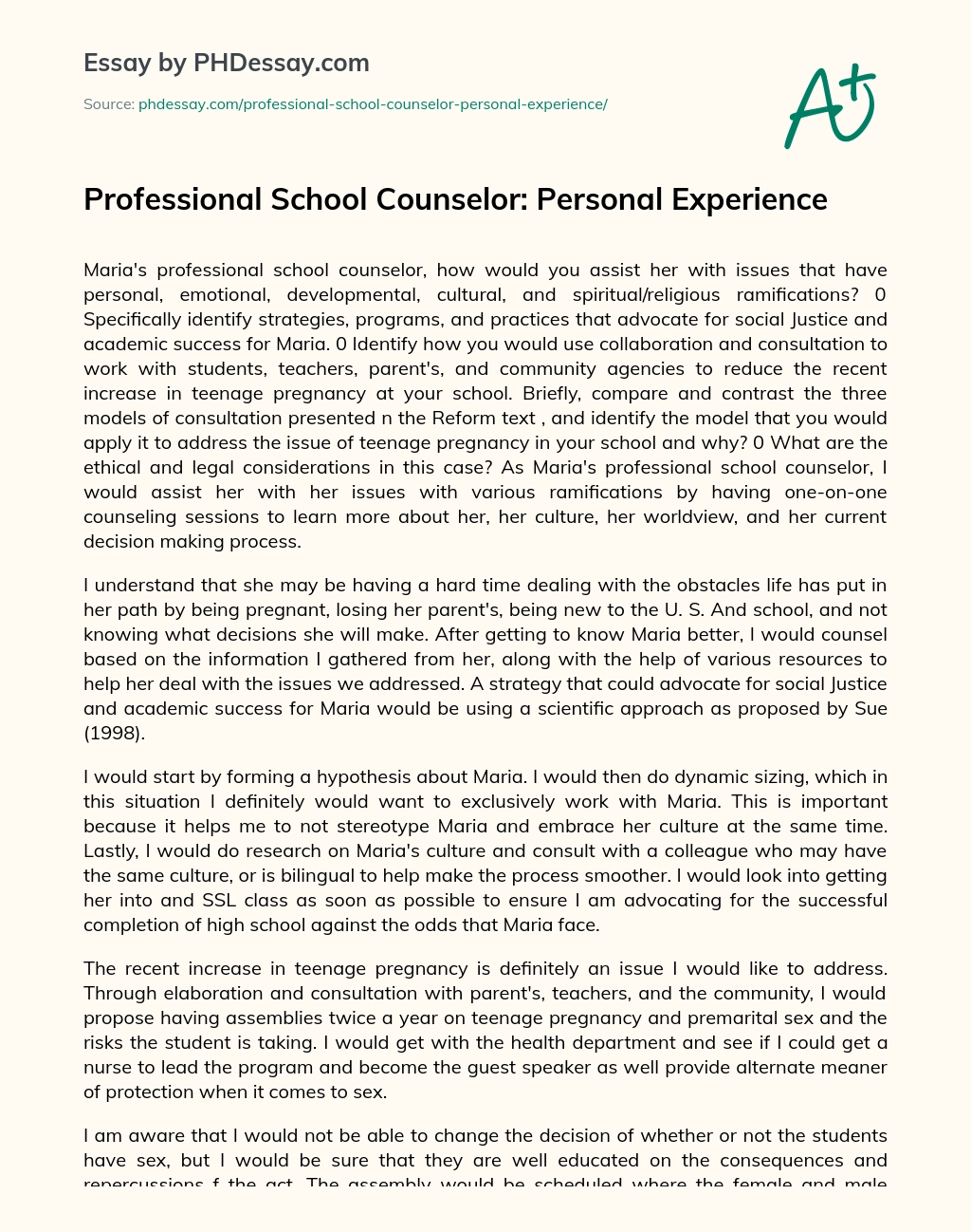 Professional School Counselor: Personal Experience essay