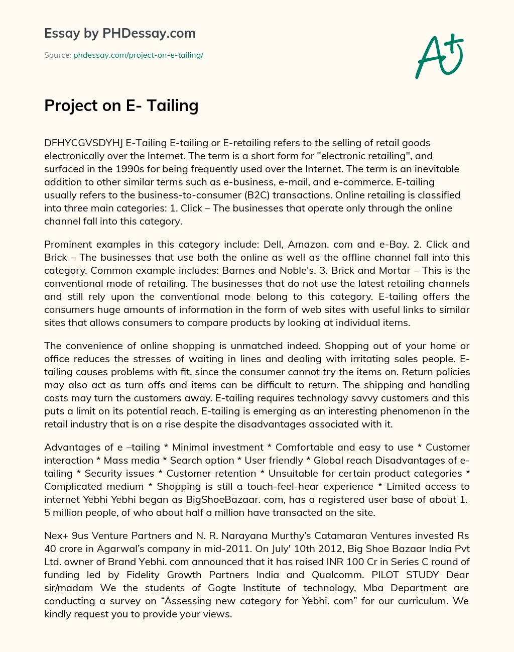 Project on E- Tailing essay