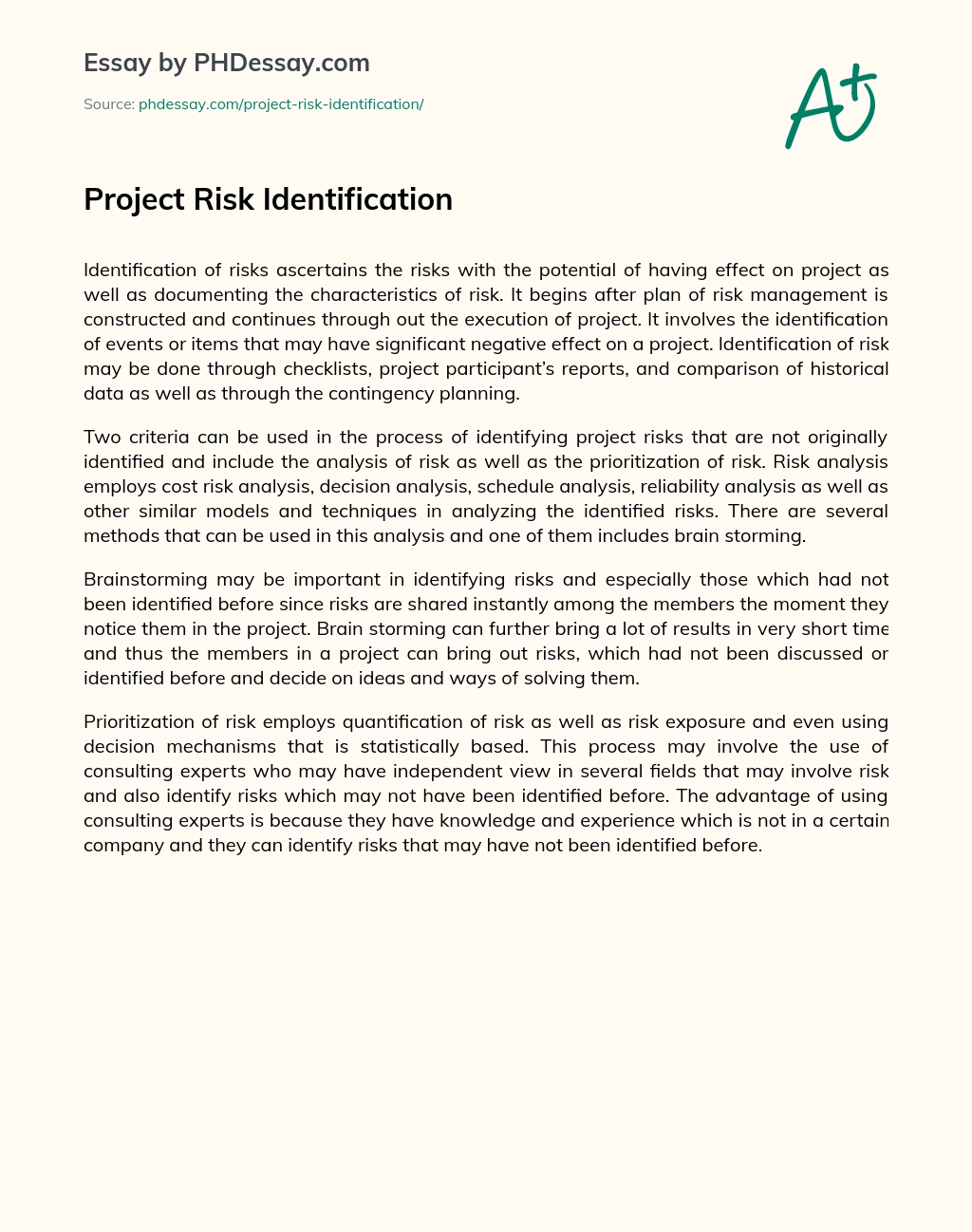Project Risk Identification essay