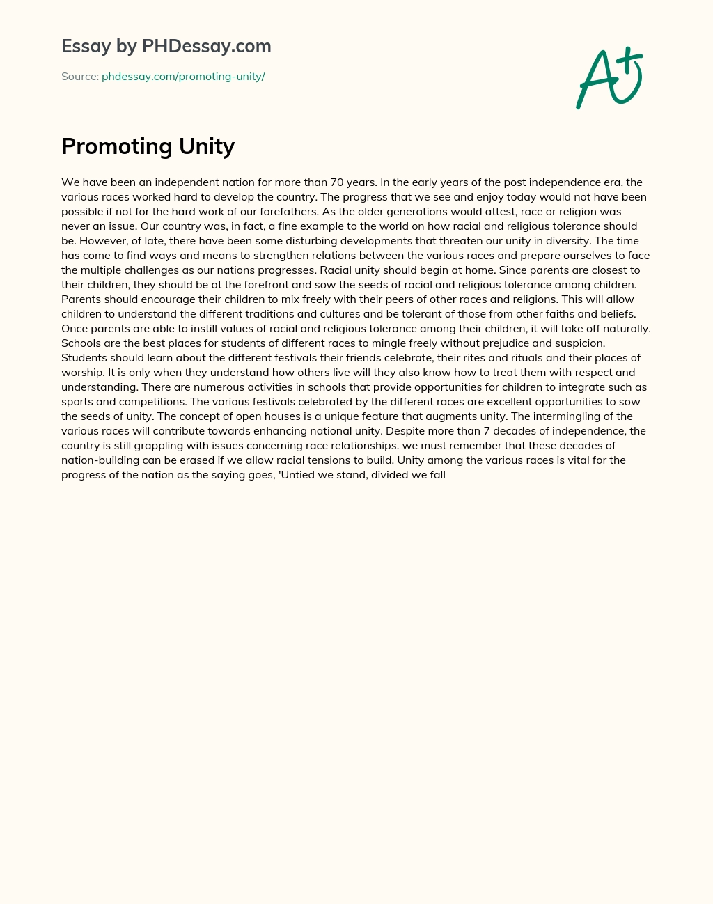 Promoting Unity essay