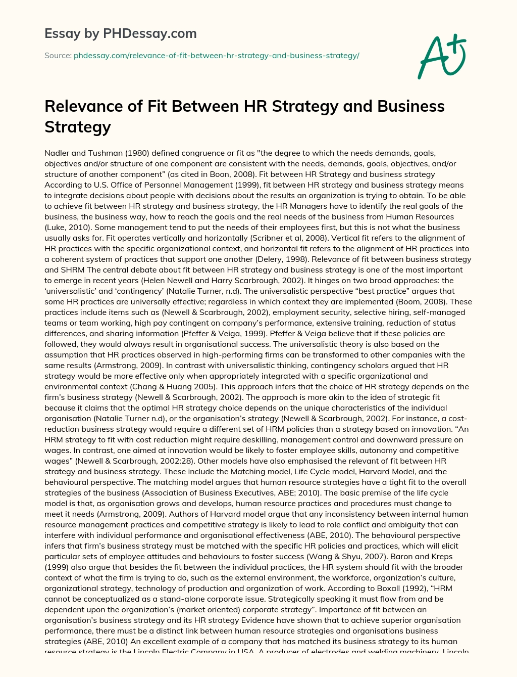 Relevance of Fit Between HR Strategy and Business Strategy essay