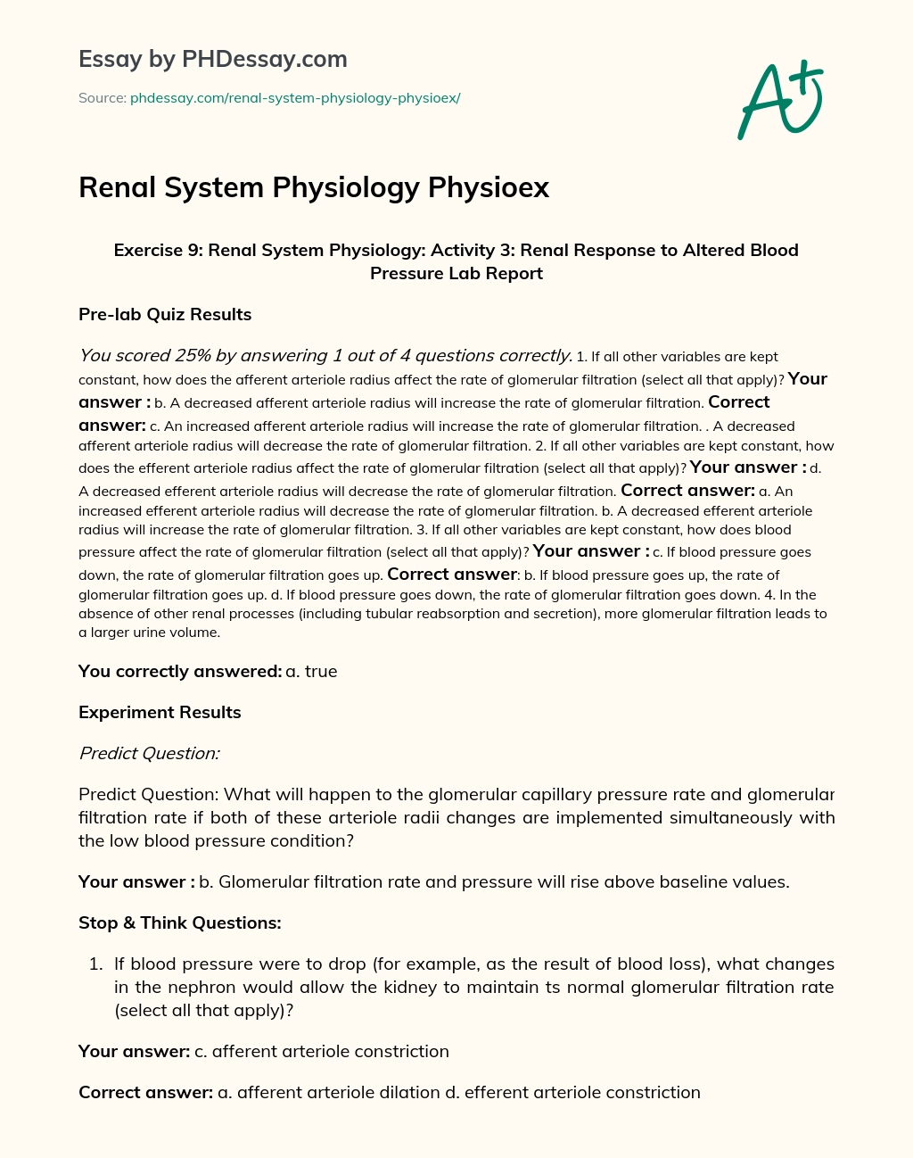 Renal System Physiology Physioex essay