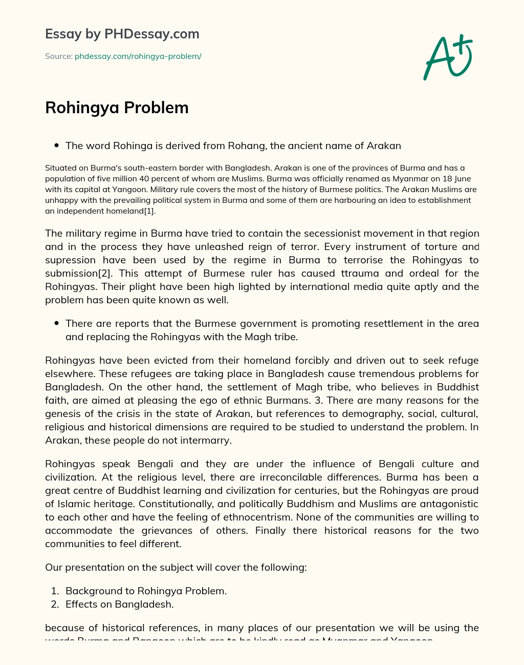 Rohingya Problem essay