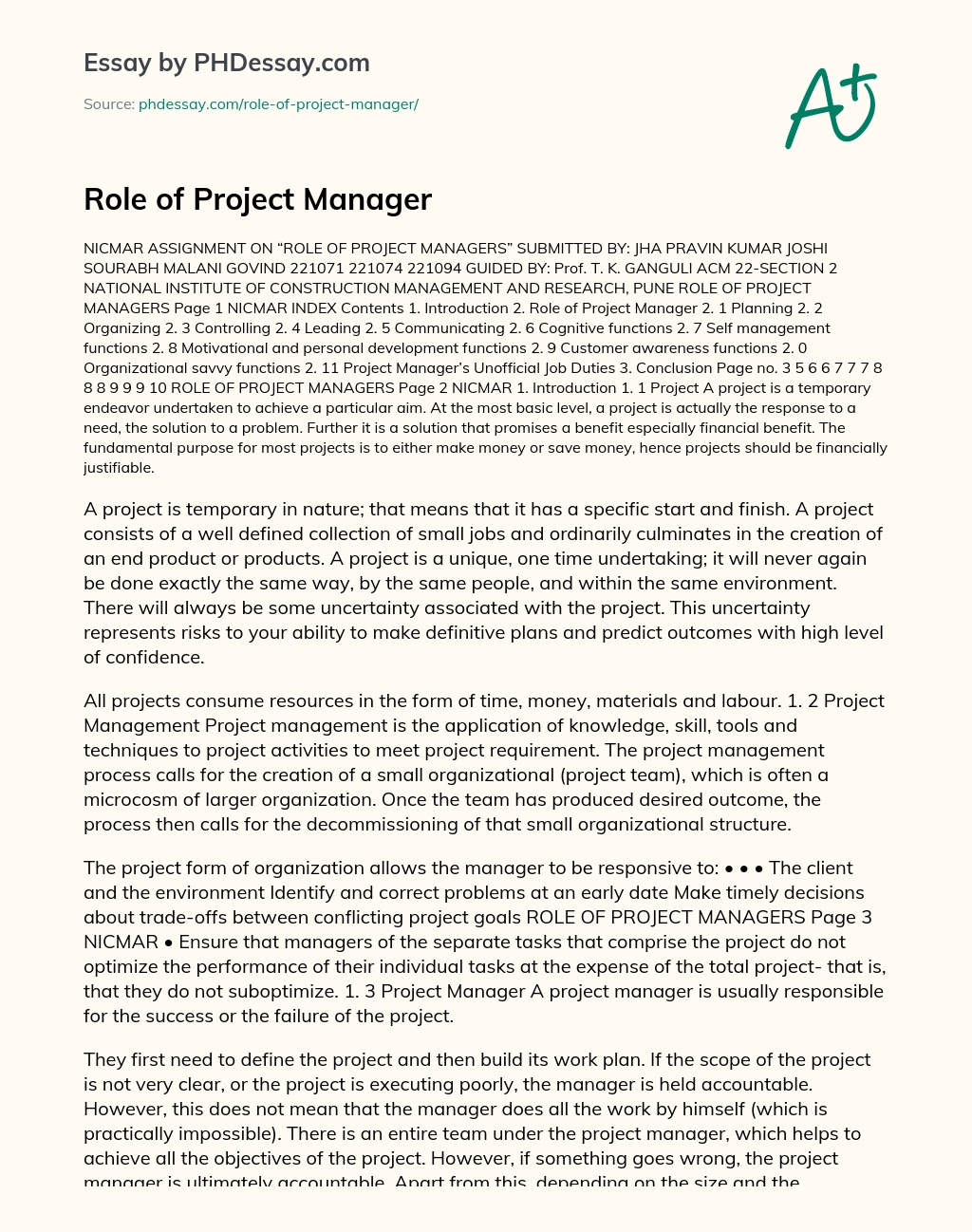 Role of Project Manager essay