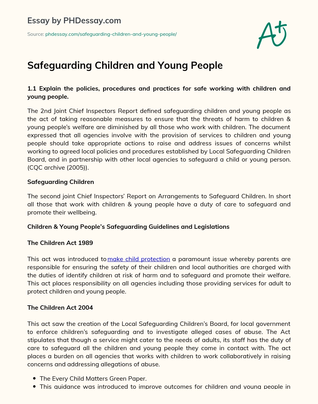 Safeguarding Children and Young People essay