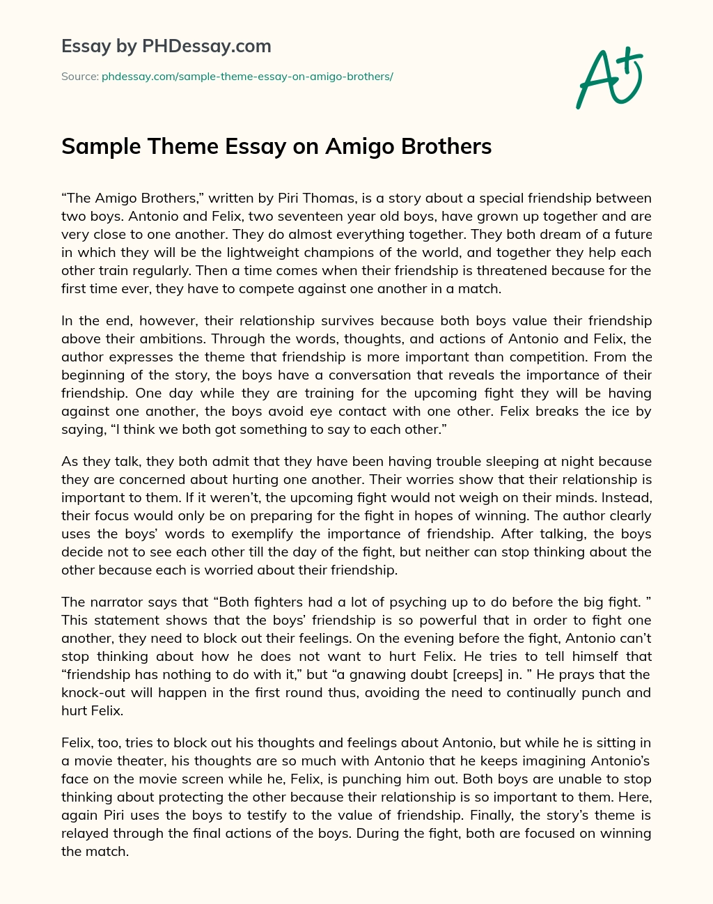 Sample Theme Essay on Amigo Brothers essay