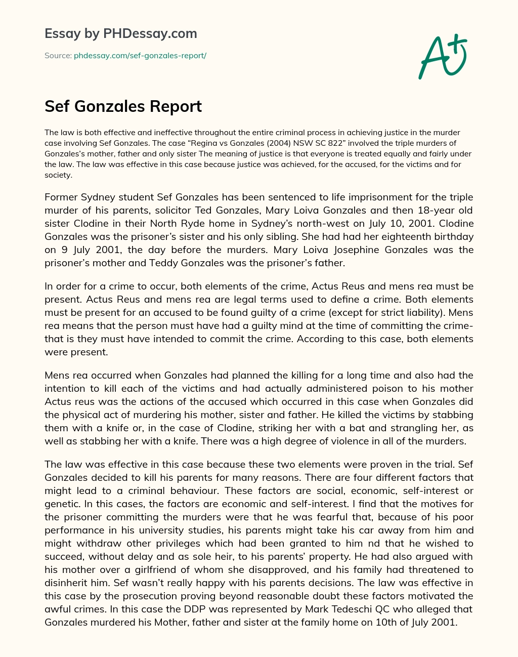 Sef Gonzales Report essay