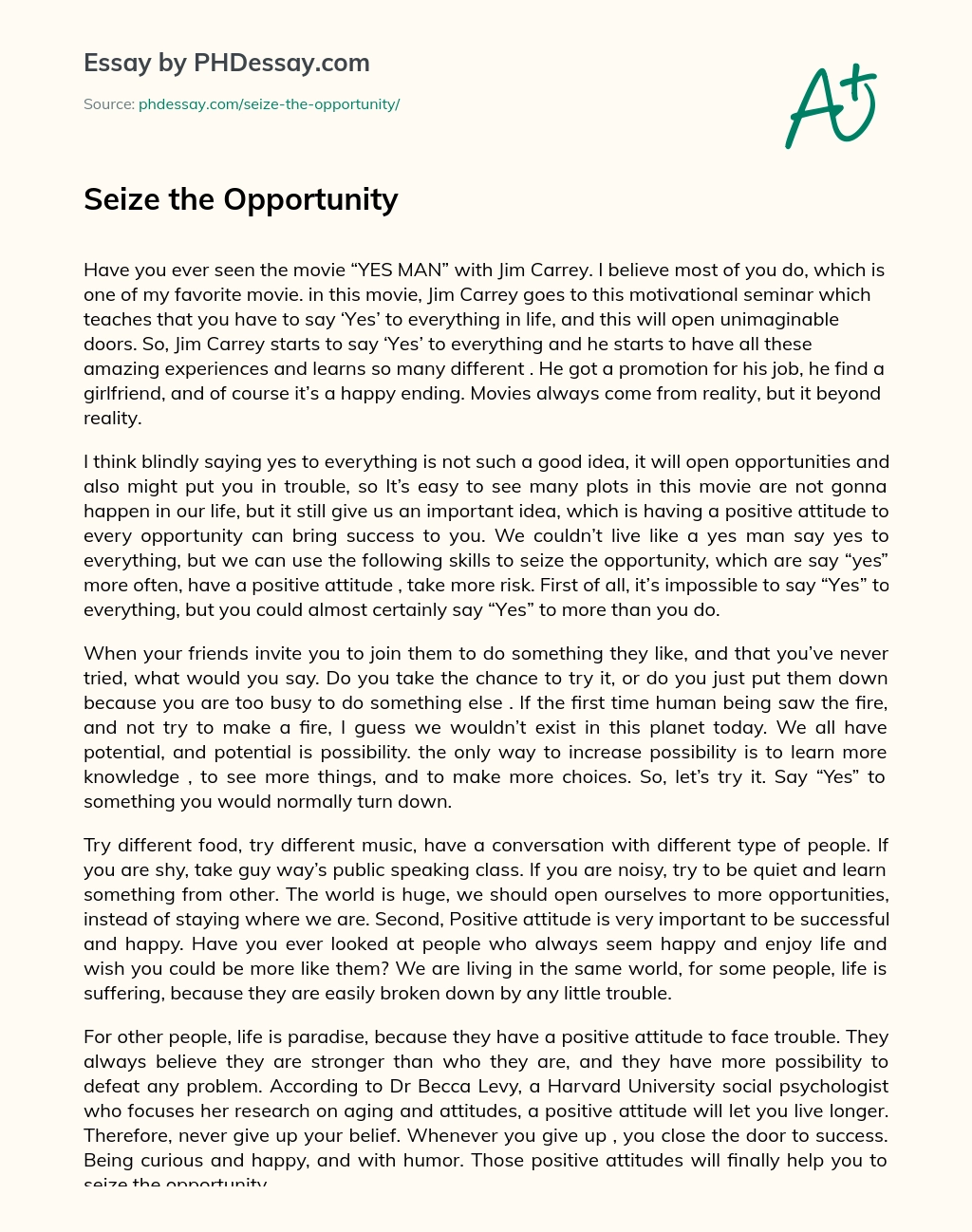 Seize the Opportunity essay