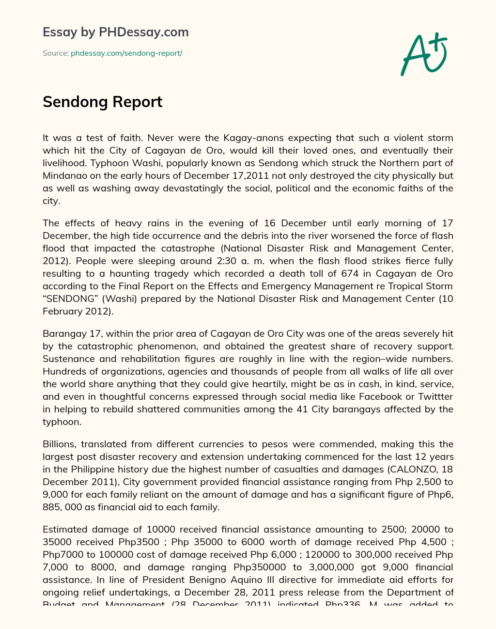 Sendong Report essay
