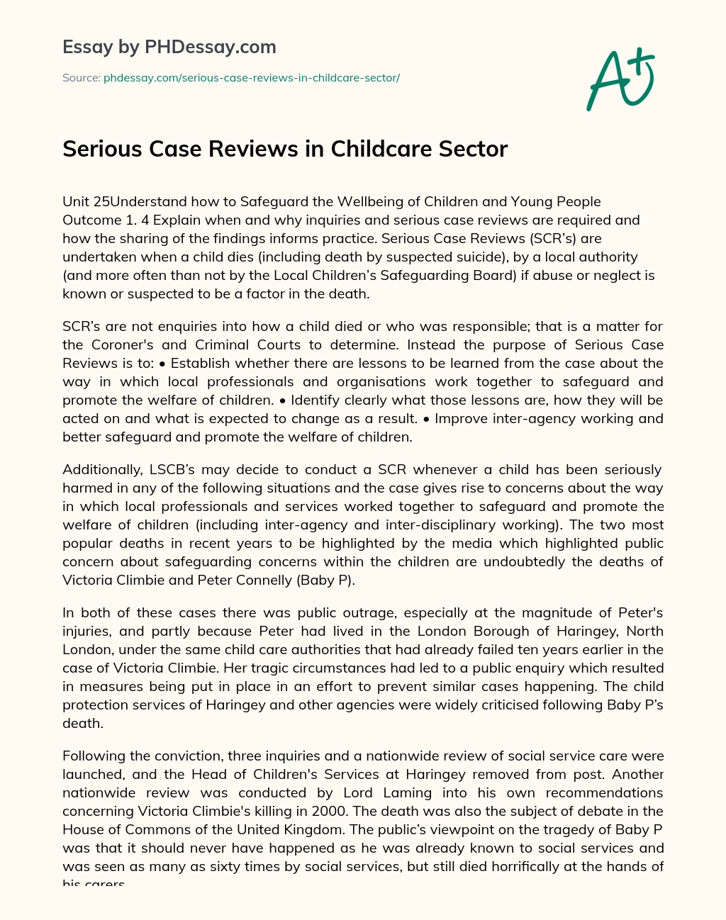 Serious Case Reviews in Childcare Sector essay