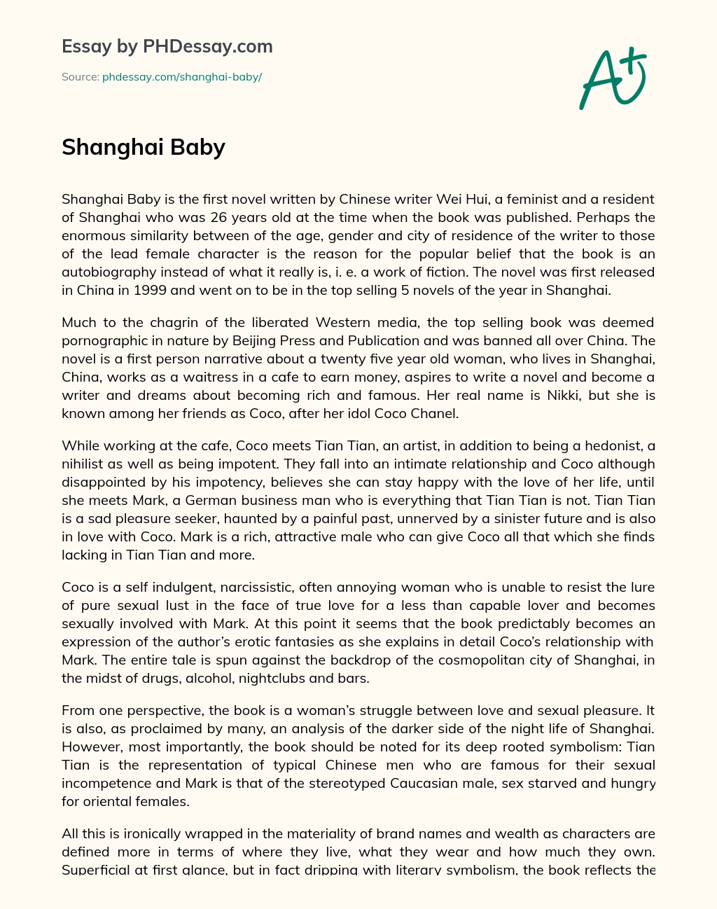 Shanghai Baby essay