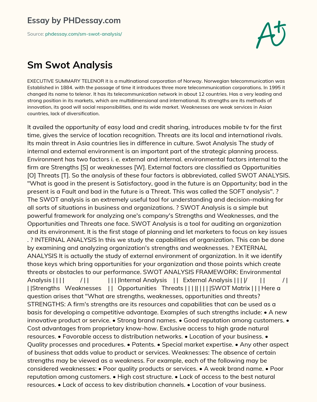 Sm Swot Analysis essay