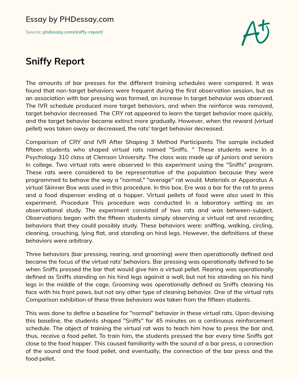 Sniffy Report essay