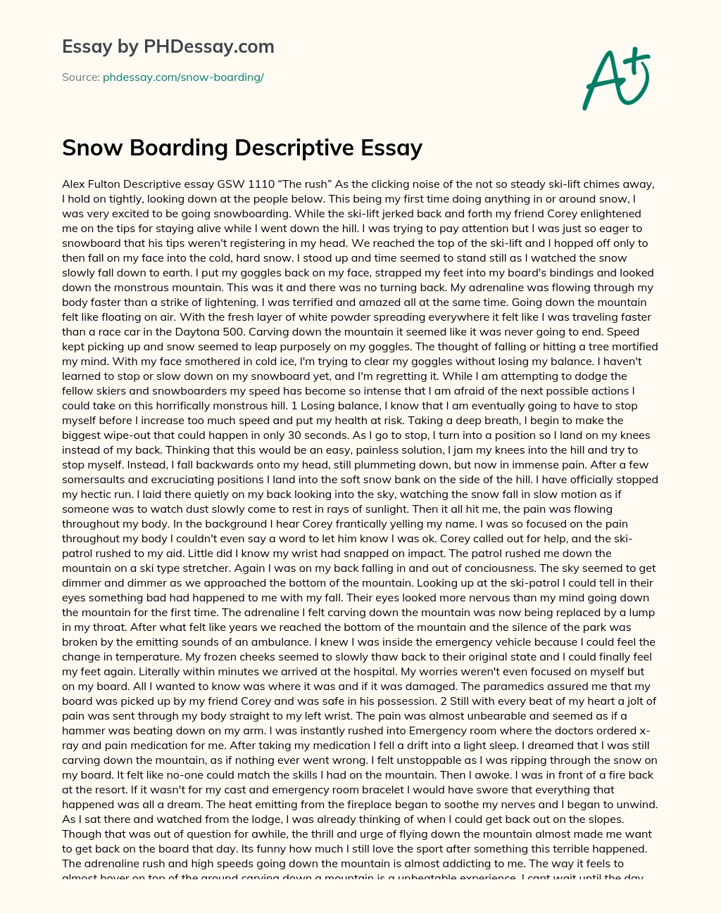Snow Boarding Descriptive Essay essay