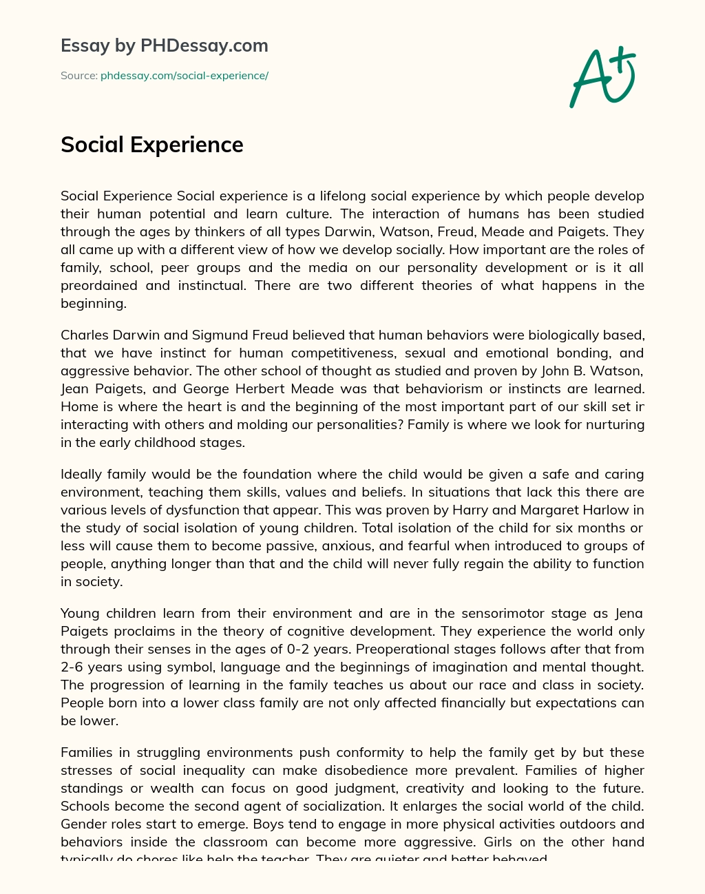 Social Experience essay