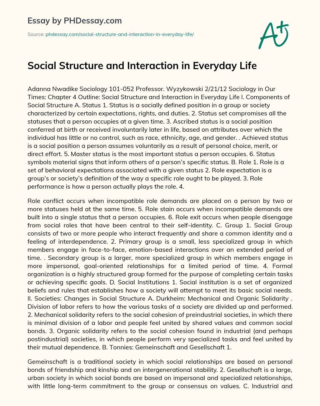 social structure essay