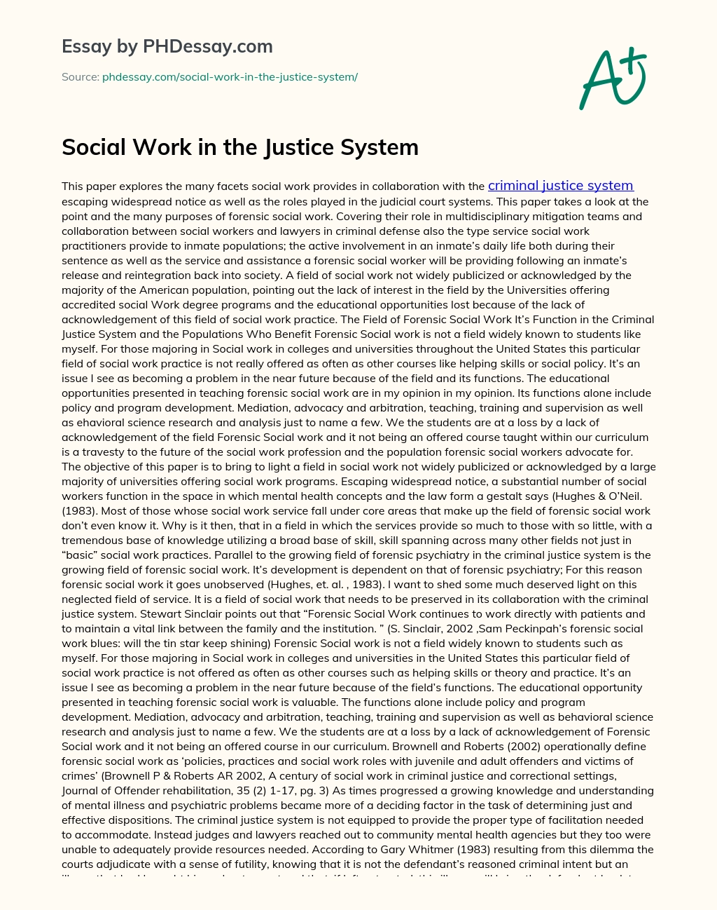 Social Work in the Justice System essay