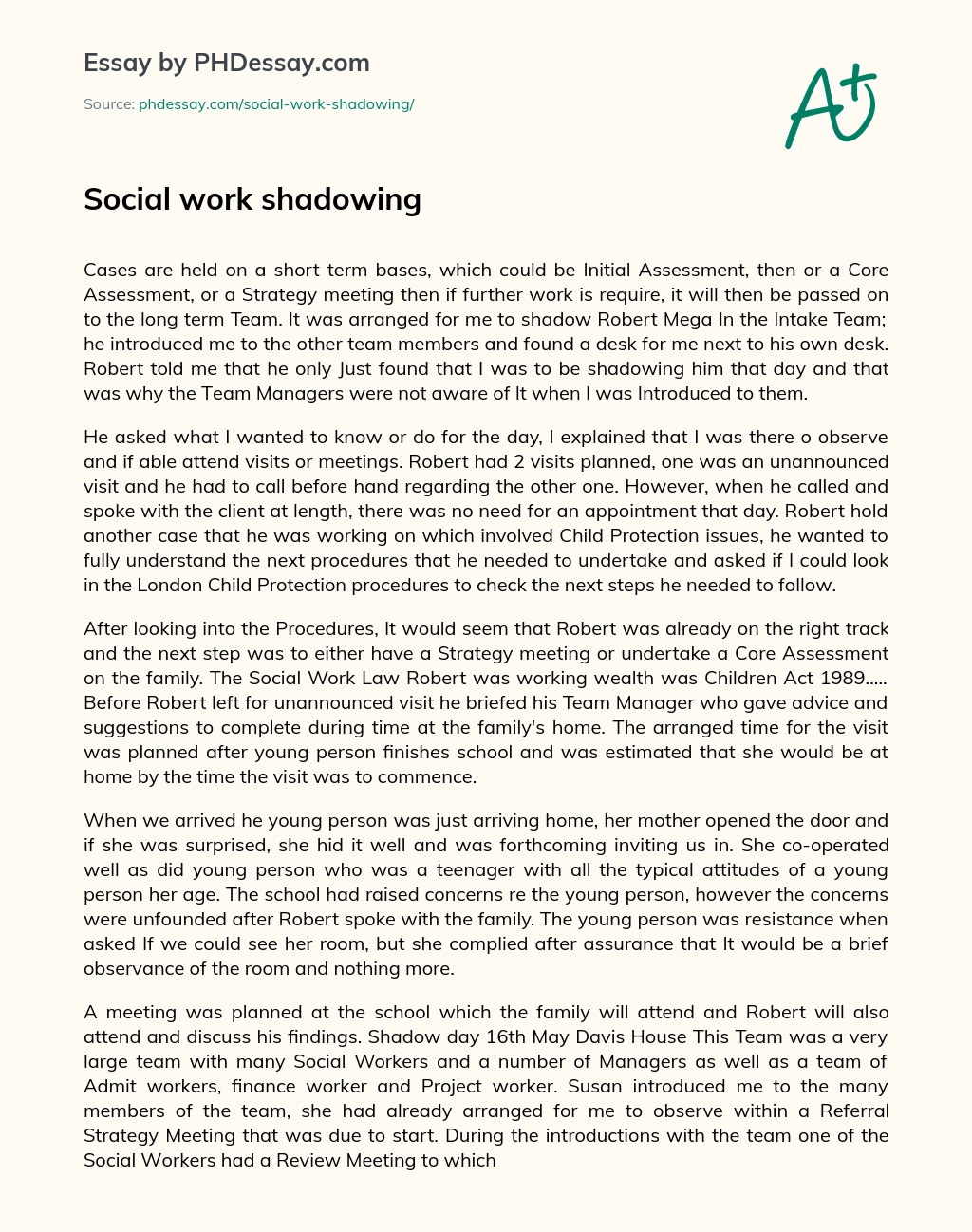 Social work shadowing essay