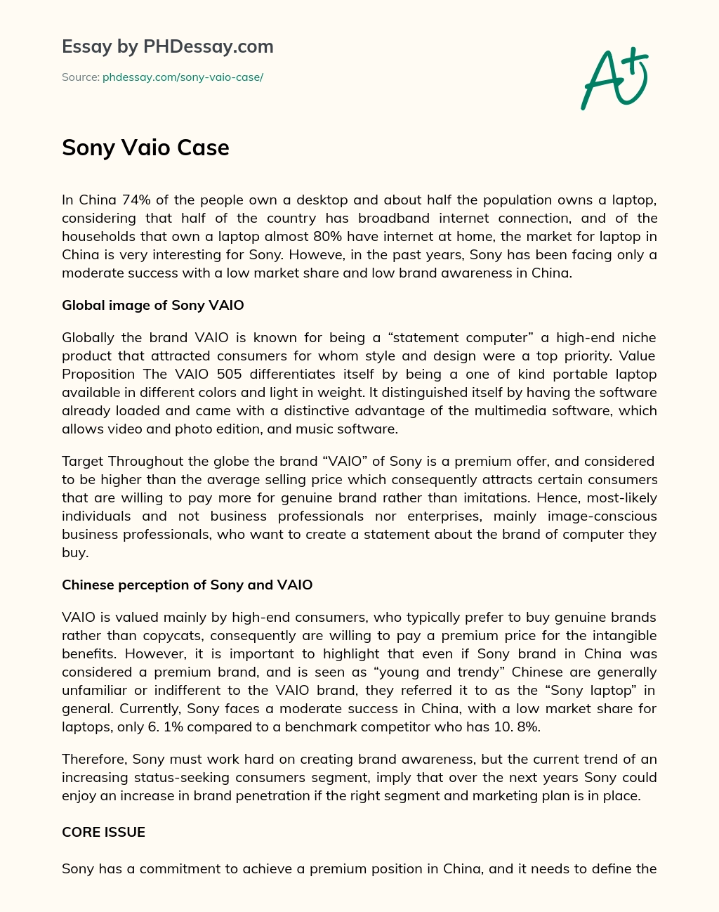 Sony Vaio Case essay