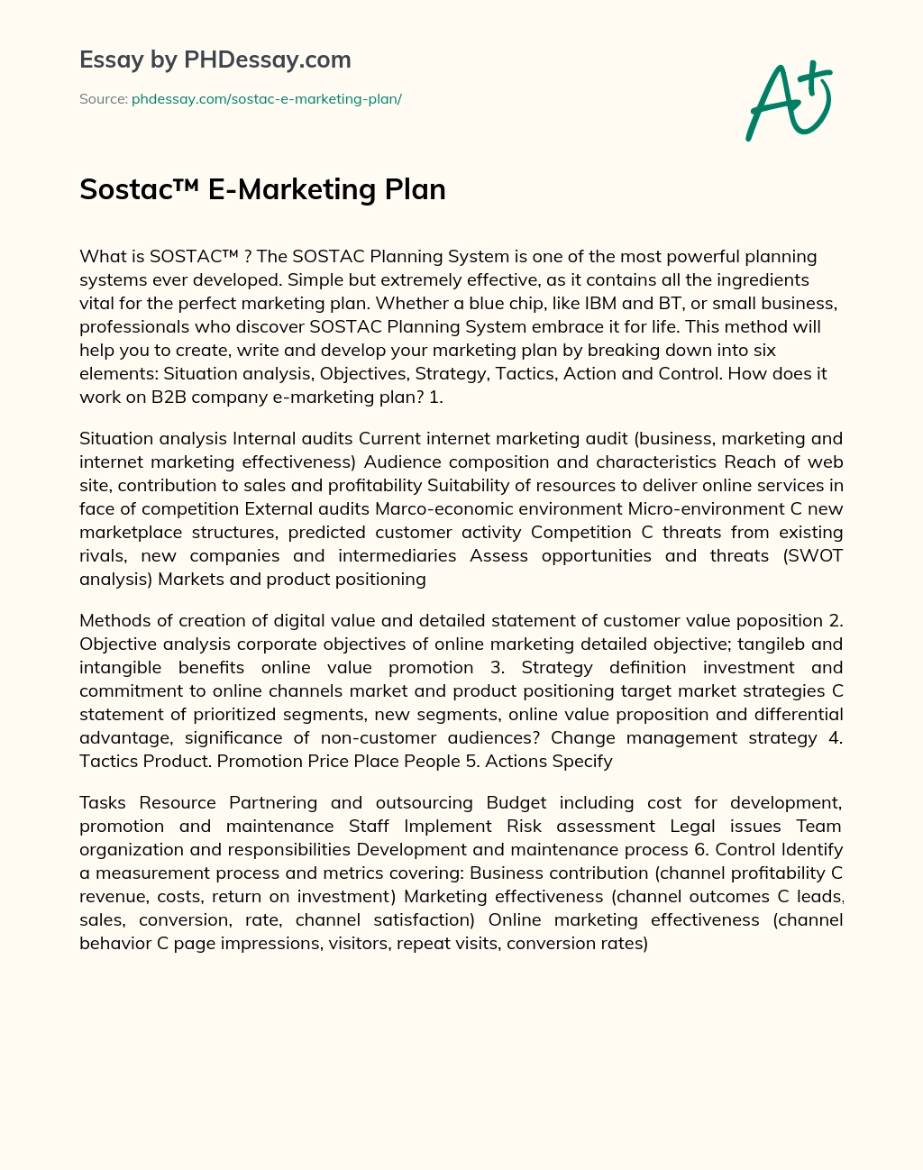 Sostac™ E-Marketing Plan essay
