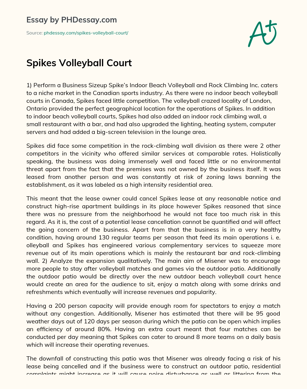 Spikes Volleyball Court essay